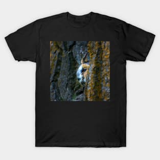 Watcher in the Woods T-Shirt